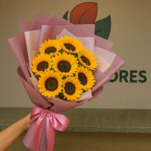 Girassóis Médio