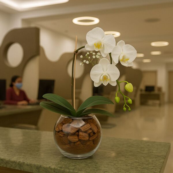 Orquídea no Aquário